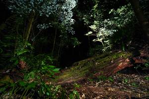 BIB: 
                            <button type="button" onclick="openModal(15974099)" class="btn btn-primary btn-sm float-right btn-popup" data-toggle="modal" data-target=".modal-high-quality">
                        <i class="fas fa-shopping-cart"></i> Add to Cart
                    </button>
                                            <button type="button" onclick="isThisMe(15974099, true)" class="btn btn-success btn-sm float-right btn-popup btn-isme hidden" data-toggle="tooltip" data-placement="bottom" title="นี่คือรูปของคุณใช่ไหม คลิกที่นี่เพื่อเอาเข้าอัลบั้ม">
                        <i class="fas fa-plus"></i> Add to album
                    </button>
                    <button type="button" onclick="isThisMe(15974099, false)" class="btn btn-warning btn-sm float-right btn-popup btn-isnotme hidden">
                        <i class="fas fa-ban"></i> Remove from album
                    </button>